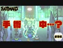 大きな手術をするなら開放的な屋外で【EASTWARD】part56