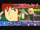 アムロが解説実況する！チャンバラ二刀流カタナ練習！！【Nintendo switch sports】