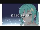 narcissus / ルリラレロ　feat.初音ミク