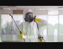 Gecko Pest Control
