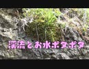 渓流とお水ポタポタ