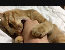 虐待されています