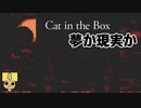 【女性実況】殺人鬼のいる廃墟から脱出しろ！【Cat in the Box】 Part4
