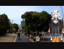 紲星あかりと行く春の多摩湖自転車歩行道２