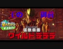 【プレイ動画】星のカービィ ディスカバリーで新たな"発見" part34