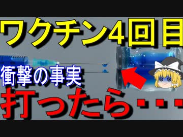 【ゆっくり解説】これを毎年接種が必要？？？？打つとどうなるのかについて