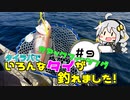 第187位：カヤックフィッシング　＃９　タイラバでいろんなタイ！【VOICEROIDフィッシング】