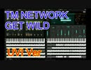 TM NETWORK  GET WILD