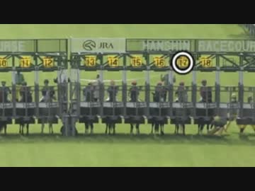 2022 天皇賞(春) パトロールビデオ 川田騎手落馬シーン