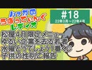 #18 水曜どうでしょう一番くじを買ったよ！【動画付きラジオ・ハァガのうぽってぃんぐレディオ】