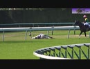 シルヴァーソニックの一部始終　スタートで落馬→空馬で"2着"→外ラチ飛び越え転倒→歩いて馬運車へ