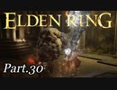 『神肌のふたり』がふたりじゃない件について。【周回やり込みPart.30】【エルデンリング/ELDENRING】