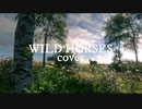 Wild Horses （カバー・弾き語り）