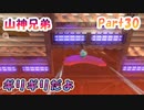 【星のカービィ ディスカバリー】『ギリギリだよ』山神兄弟でゲーム実況【Part.30】