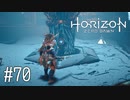 【ゆっくり実況】Horizon Zero Dawn その70