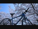琵琶湖の一足遅い春を自転車で堪能してみた【海津大崎】