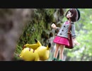 【実写】森で伝説のポケモンを探してみた