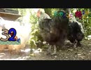 変なおじさんとこの　鶏さん２９０　サニーレタスうまうま