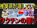 【ゆっくり解説】おい、推奨派がこんな事実隠していて許されるのか