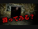 森の中の「滑り台」で怪奇現象が起きるホラーゲームが怖すぎた【Slide in the Woods】