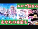 エロゲ主人公名調査Part1【オススメのエロゲ解説】