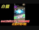 白猫　SAOコラボクエスト　TOWER攻略　白亜の塔４階　＃４　【白猫プロジェクト】