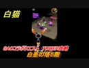 白猫　SAOコラボクエスト　TOWER攻略　白亜の塔５階　キリト・アスナ・ユージオ・シノン・リーファ　ＳＡＯコラボ第２弾ガチャキャラ　＃５　【白猫プロジェクト】