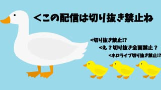 【注意】大空スバルが全面切り抜き禁止したというデマが拡散中