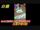 白猫　SAOコラボクエスト　TOWER攻略　白亜の塔６階　キリト・アスナ・ユージオ・シノン・リーファ　ＳＡＯコラボ第２弾ガチャキャラ　＃６　【白猫プロジェクト】