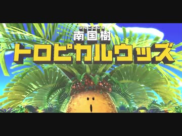 【実況】星のカービィ ディスカバリーをいい大人達が本気で遊んでみた。part10【2人プレイ】