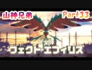 【星のカービィ ディスカバリー】『アルティメット・シイング』山神兄弟でゲーム実況【Part.33】