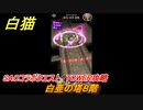 白猫　SAOコラボクエスト　TOWER攻略　白亜の塔８階　キリト・アスナ・ユージオ・シノン・リーファ　ＳＡＯコラボ第２弾ガチャキャラ　＃８　【白猫プロジェクト】