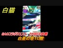 白猫　SAOコラボクエスト　TOWER攻略　白亜の塔１０階　キリト・アスナ・ユージオ・シノン・リーファ　ＳＡＯコラボ第２弾ガチャキャラ　＃１０　【白猫プロジェクト】