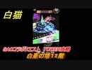 白猫　SAOコラボクエスト　TOWER攻略　白亜の塔１１階　キリト・アスナ・ユージオ・シノン・リーファ　ＳＡＯコラボ第２弾ガチャキャラ　＃１１　【白猫プロジェクト】