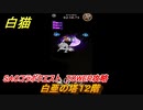 白猫　SAOコラボクエスト　TOWER攻略　白亜の塔１２階　キリト・アスナ・ユージオ・シノン・リーファ　ＳＡＯコラボ第２弾ガチャキャラ　＃１２　【白猫プロジェクト】
