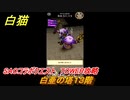 白猫　SAOコラボクエスト　TOWER攻略　白亜の塔１３階　キリト・アスナ・ユージオ・シノン・リーファ　ＳＡＯコラボ第２弾ガチャキャラ　＃１３　【白猫プロジェクト】