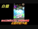 白猫　SAOコラボクエスト　TOWER攻略　白亜の塔１４階　キリト・アスナ・ユージオ・シノン・リーファ　ＳＡＯコラボ第２弾ガチャキャラ　＃１４　【白猫プロジェクト】