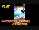白猫　SAOコラボクエスト　TOWER攻略　白亜の塔１５階　キリト・アスナ・ユージオ・シノン・リーファ　ＳＡＯコラボ第２弾ガチャキャラ　＃１５　【白猫プロジェクト】