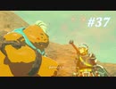 【ゼルダの伝説BotW】実況プレイ-part37-