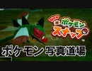 【ポケモンスナップ】趣味：写真撮影、カメラいじりがポケモンスナップで遊んでみた【♯4】【実況】