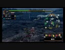 【MHP2G】へっぽこプレイヤーのモンハン成長記　Vol.4　Part.2