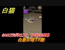 白猫　SAOコラボクエスト　TOWER攻略　白亜の塔１７階　キリト・アスナ・ユージオ・シノン・リーファ　ＳＡＯコラボ第２弾ガチャキャラ　＃１７　【白猫プロジェクト】