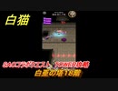白猫　SAOコラボクエスト　TOWER攻略　白亜の塔１８階　キリト・アスナ・ユージオ・シノン・リーファ　ＳＡＯコラボ第２弾ガチャキャラ　＃１８　【白猫プロジェクト】