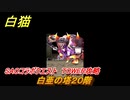 白猫　SAOコラボクエスト　TOWER攻略　白亜の塔２０階　キリト・アスナ・ユージオ・シノン・リーファ　ＳＡＯコラボ第２弾ガチャキャラ　＃２０　【白猫プロジェクト】