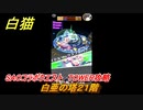 白猫　SAOコラボクエスト　TOWER攻略　白亜の塔２１階　キリト・アスナ・ユージオ・シノン・リーファ　ＳＡＯコラボ第２弾ガチャキャラ　＃２１　【白猫プロジェクト】