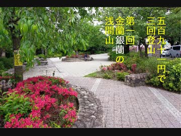 五百九十一円で三回登山　第一回金蘭銀蘭咲く浅間山 キネマの神様十分見て手直し版