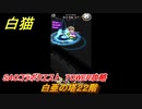 白猫　SAOコラボクエスト　TOWER攻略　白亜の塔２２階　キリト・アスナ・ユージオ・シノン・リーファ　ＳＡＯコラボ第２弾ガチャキャラ　＃２２　【白猫プロジェクト】