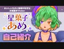 【自己紹介】お絵描きVtuber星菓子あめ