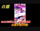 白猫　SAOコラボクエスト　TOWER攻略　白亜の塔２６階　キリト・アスナ・ユージオ・シノン・リーファ　ＳＡＯコラボ第２弾ガチャキャラ　＃２６　【白猫プロジェクト】