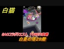 白猫　SAOコラボクエスト　TOWER攻略　白亜の塔２８階　キリト・アスナ・ユージオ・シノン・リーファ　ＳＡＯコラボ第２弾ガチャキャラ　＃２８　【白猫プロジェクト】